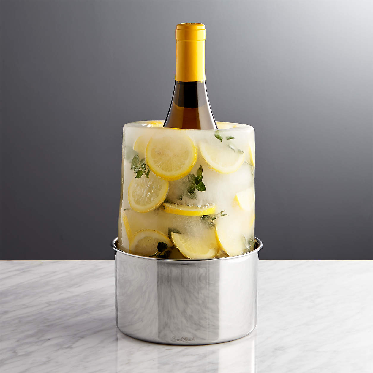 Ice Mold/Wine Bottle Chiller + Reviews Crate & Barrel