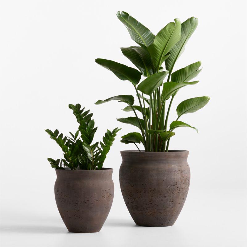 Illara 15.6" x 15.0" Bronze Indoor/Outdoor Planter - image 1 of 5