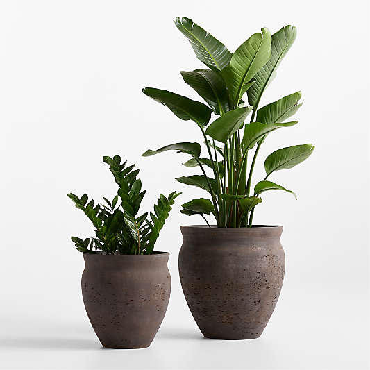 Illara 19.7" x 18.9" Bronze Indoor/Outdoor Planter