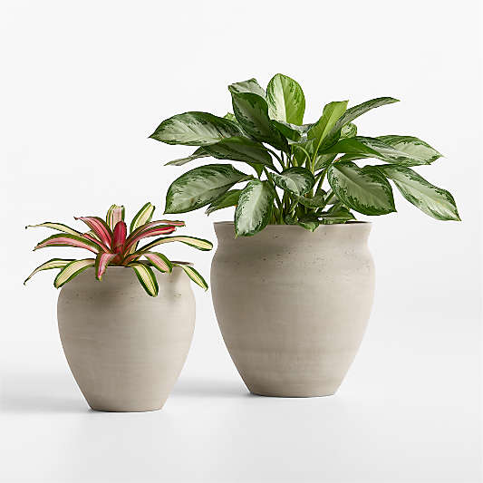 Illara 19.7" x 18.9" Grey Indoor/Outdoor Planter