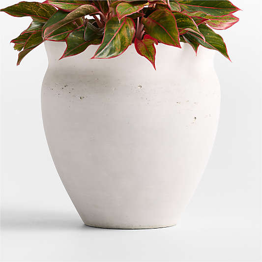 Illara 15.6" x 15.0" Ivory Indoor/Outdoor Planter