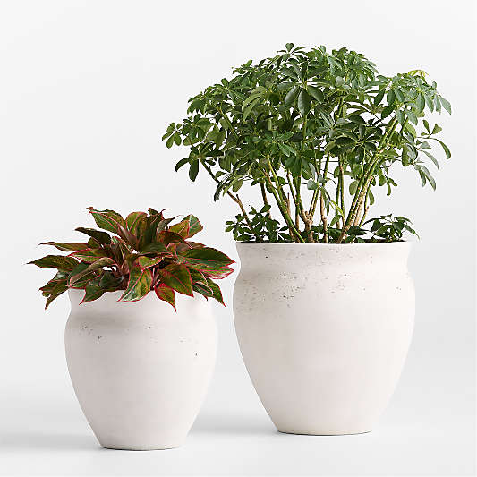 Illara 19.7" x 18.9" Ivory Indoor/Outdoor Planter