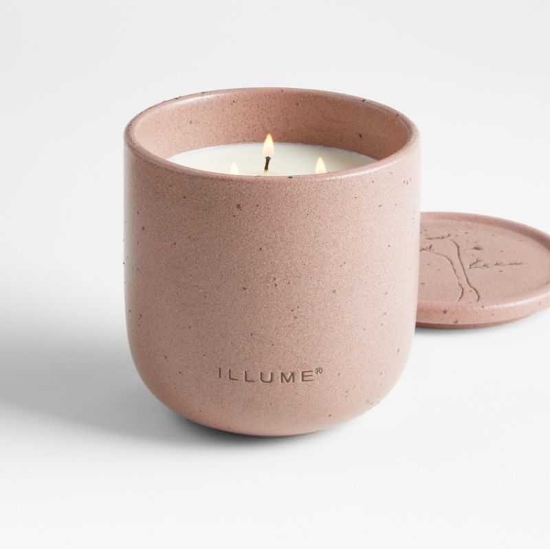 Illume Medium Citrus Cedar Leaf Outdoor Scented Candle