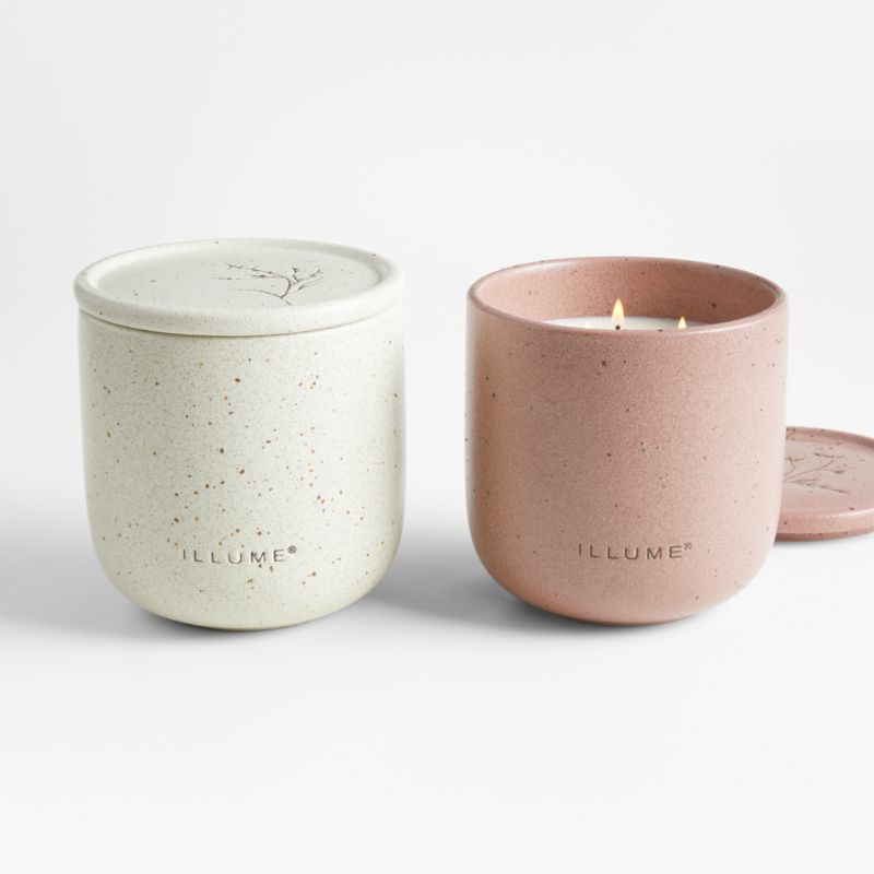 Illume Medium Vetiver Sage Outdoor Scented Candle