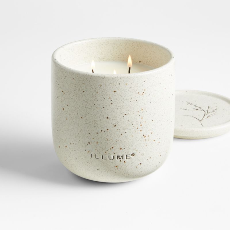 Illume Medium Vetiver Sage Outdoor Scented Candle