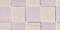 New! Lilac Rose