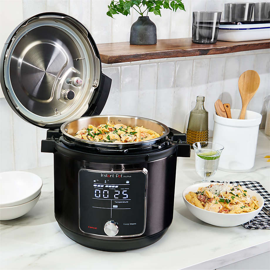 instant pot 6 quart pro