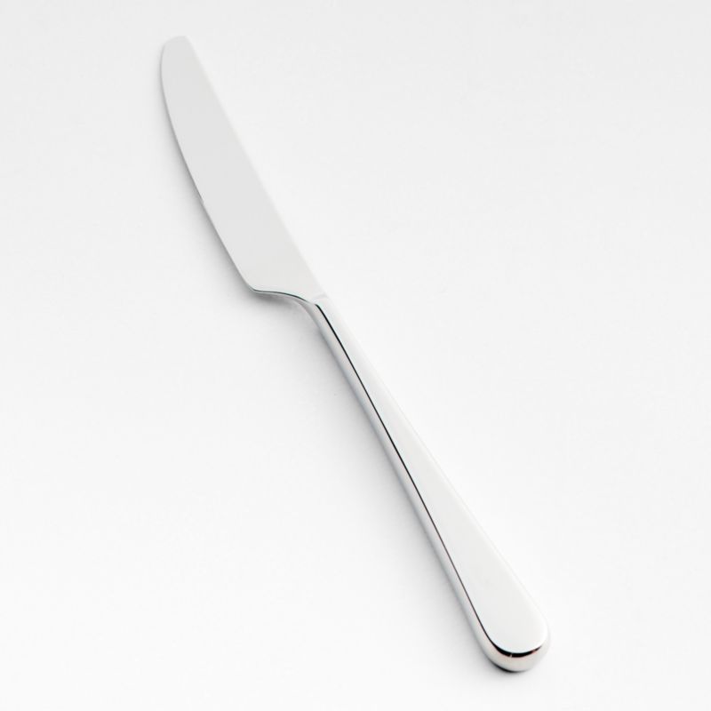 Tour Mirror Dinner Knife - image 0 of 2