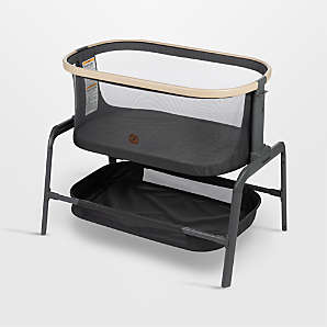 Crate and shop barrel bassinet