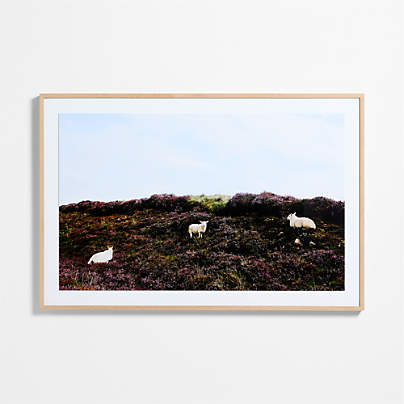 "Isle of Skye" by Welsey and Emma Teague 40"x60" Framed Photography Print