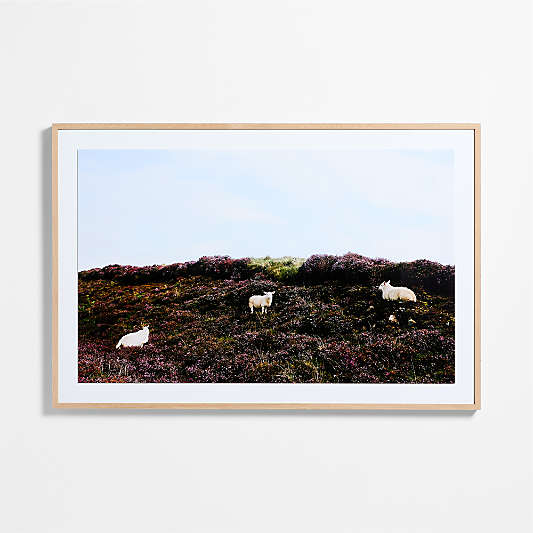 "Isle of Skye" by Welsey and Emma Teague 40"x60" Framed Photography Print