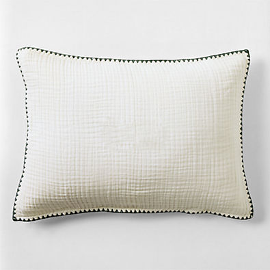 View Beckett Pampas Ivory Supersoft Luxe Embroidered Beachglass Green Edge Organic Cotton Kids Sham By Jake Arnold details