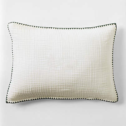 Beckett Pampas Ivory Supersoft Luxe Embroidered Beachglass Green Edge Organic Cotton Kids Sham By Jake Arnold