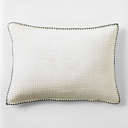 Beckett Pampas Ivory Supersoft Luxe Embroidered Beachglass Green Edge Organic Cotton Kids Sham By Jake Arnold
