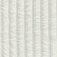 Francis Green Coral Reef Embroidered Stripe Kids Twin Quilt by Jake Arnold