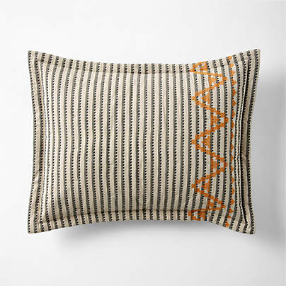 Reminiscent Embroidered Stripe Organic Cotton Kids Pillow Sham by Jeremiah Brent