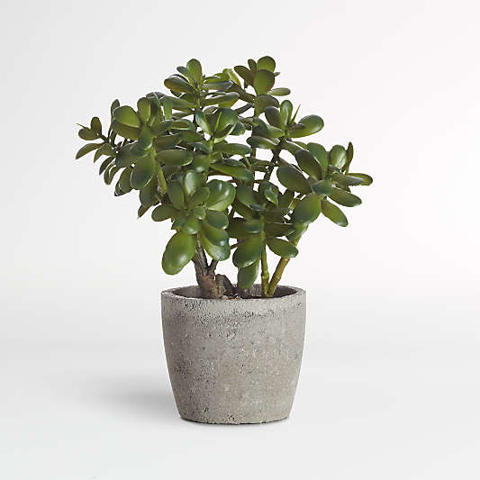 Faux Potted Jade Plant