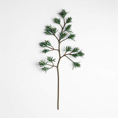 Japanese Pine Stem