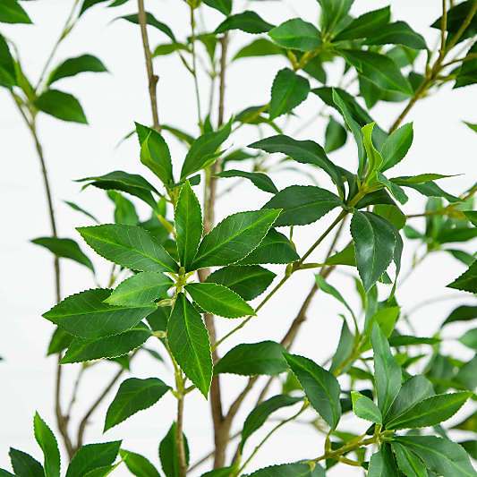 Faux Japanese Pieris Tree 7'