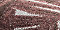 Chestnut Red