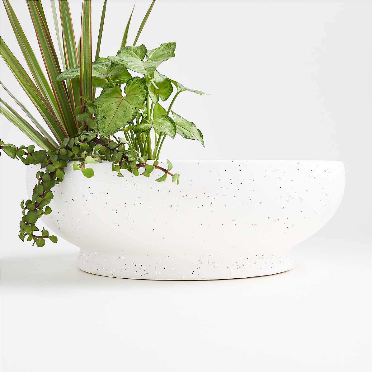 white ceramic bowl planter