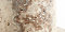 Silver Travertine