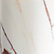 Golden Calcatta Marble