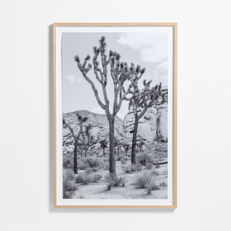 "Joshua Tree" by Tatiana Alexandra 40"x60" Framed Photography Print - image 0 of 4