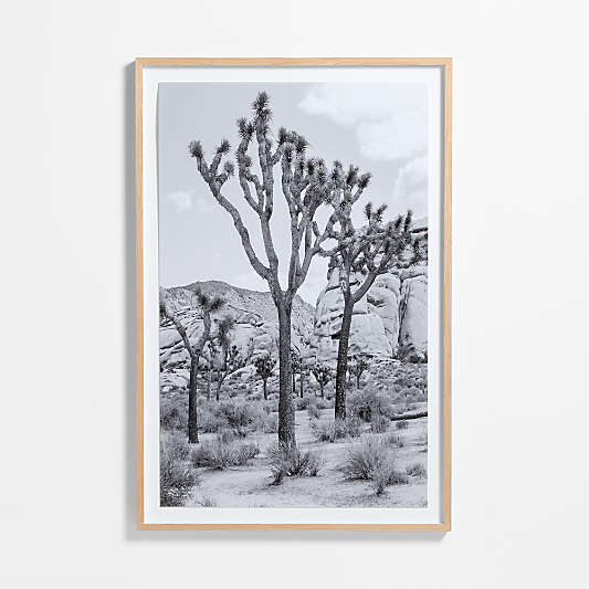 "Joshua Tree" by Tatiana Alexandra 40"x60" Framed Photography Print