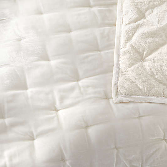 Juliet Birch Velvet Euro Sham