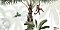 Jungle Party