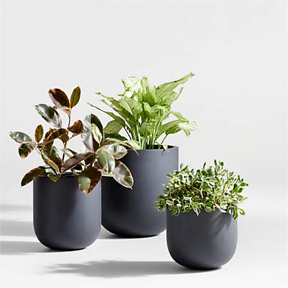 Junio Dark Grey Planters