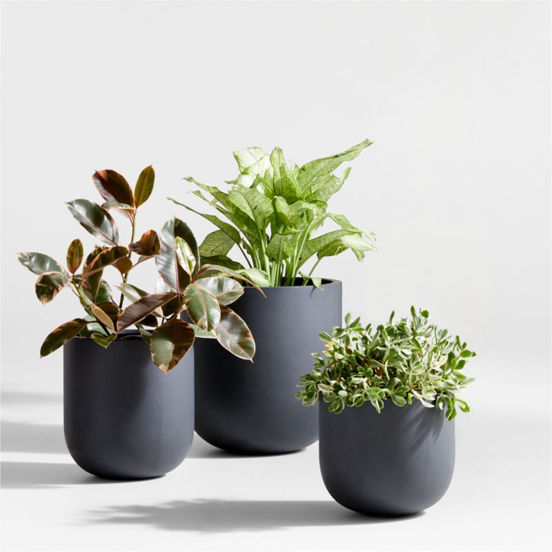 Outdoor Decor