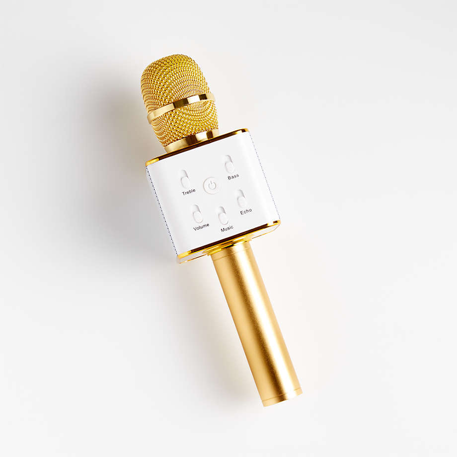 Karaoke Microphone + Reviews Crate & Barrel