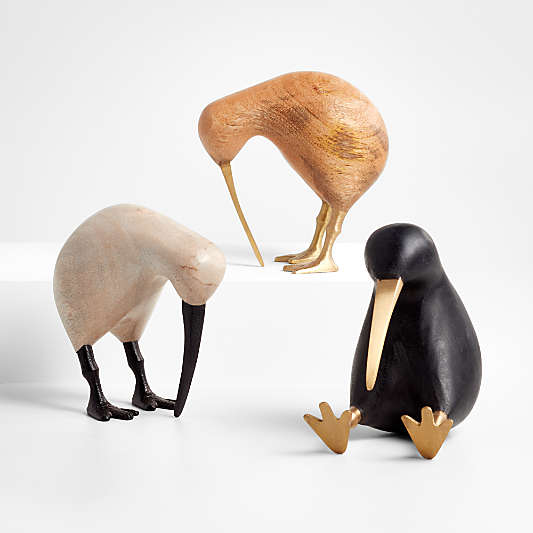 Black Wood Kiwi Bird