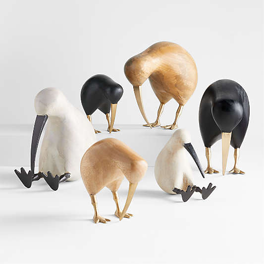 Kiwi Birds