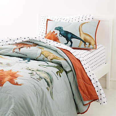 Organic on sale dinosaur bedding