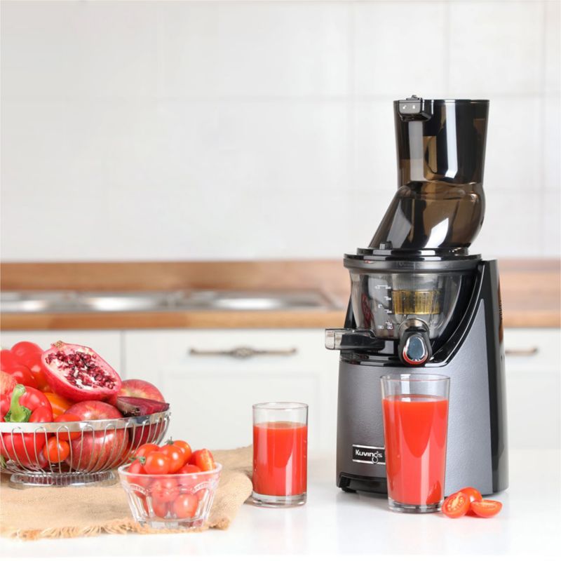 Kuvings EVO820 Series Gunmetal Whole Slow Juicer - image 1 of 10