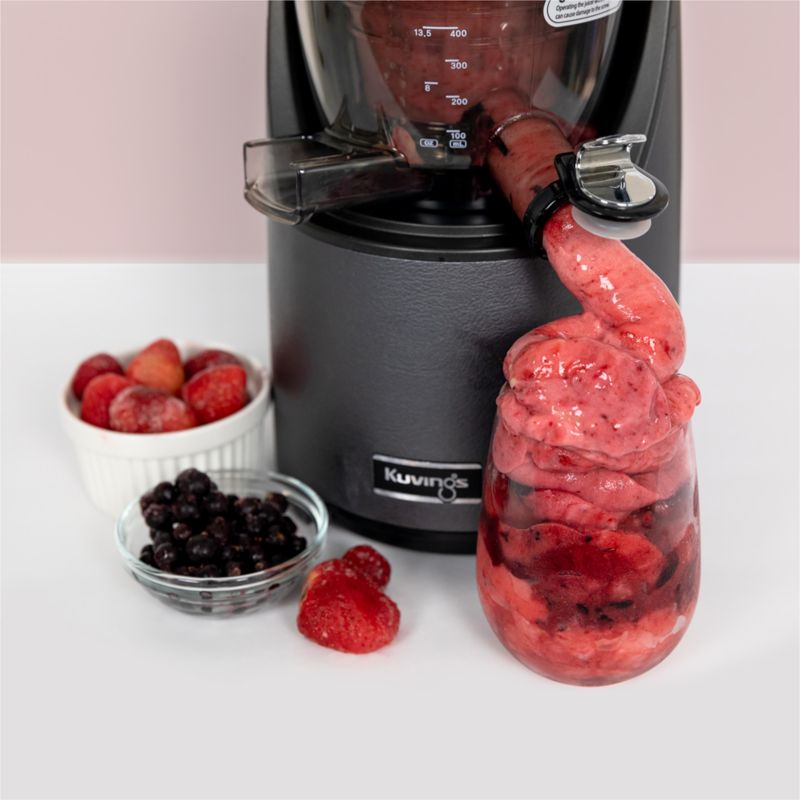 Kuvings EVO820 Series Gunmetal Whole Slow Juicer - image 2 of 10