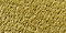 Oregano Green