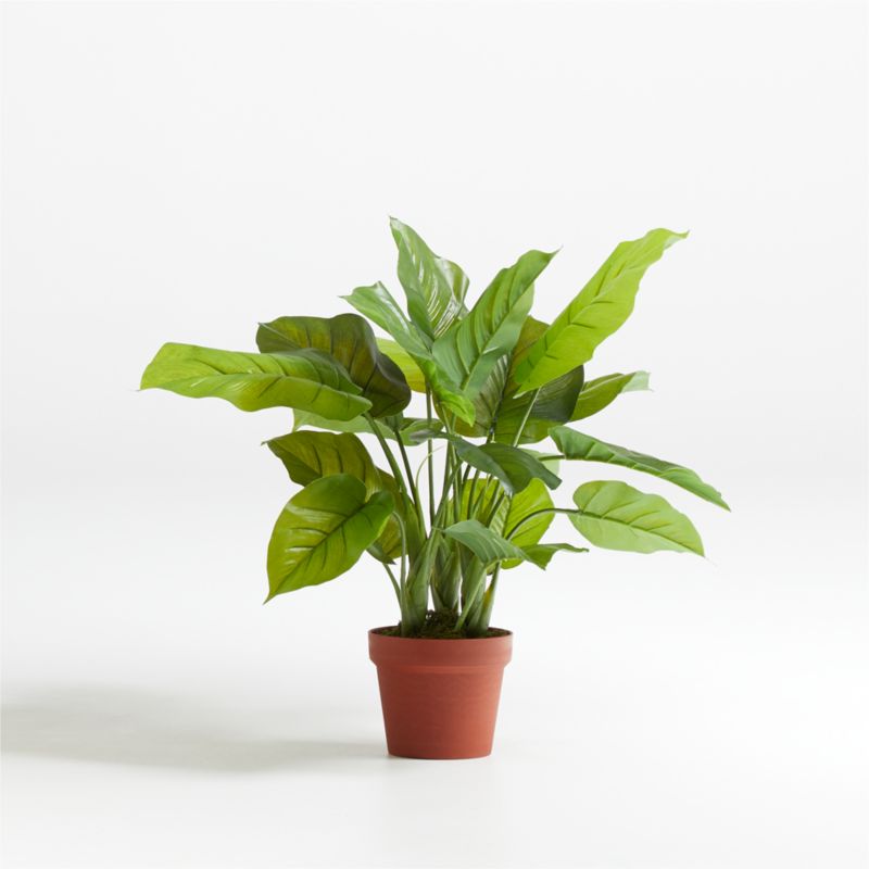 27" Faux Large Leaf Philodendron Plant - image 1 of 3