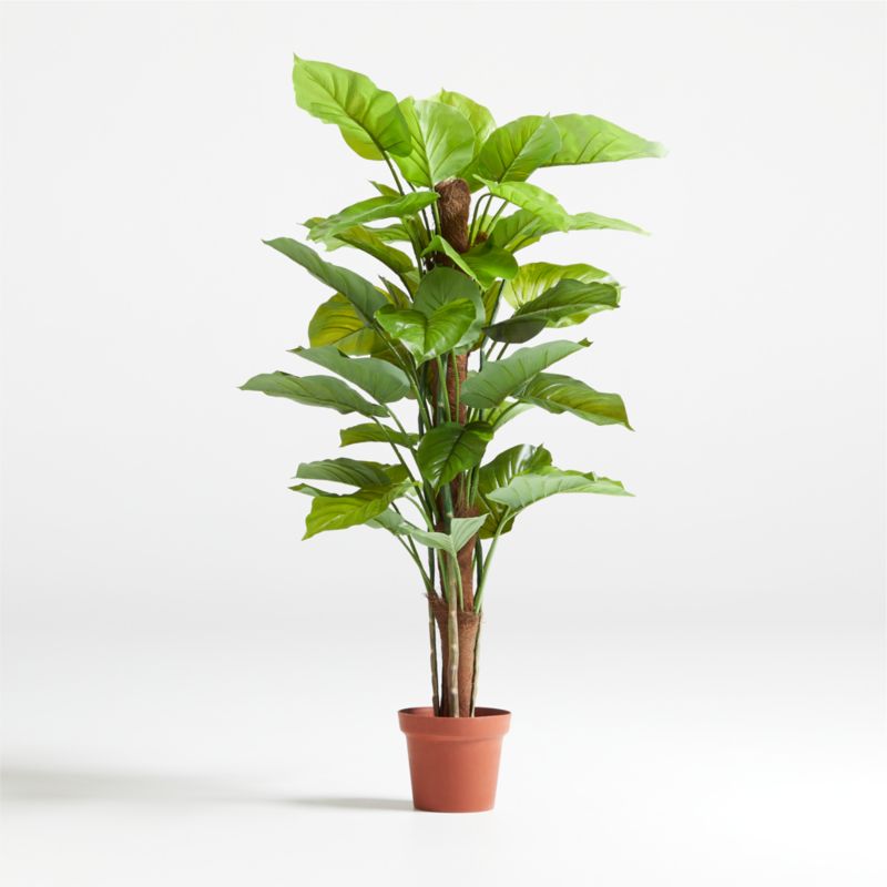 52" Faux Large Leaf Philodendron Plant - image 1 of 3