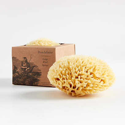 Boxed Wool Sponge  Organic Natural Sea Sponge - The Refill Shoppe