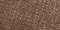 Auburn Brown