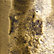 Brass