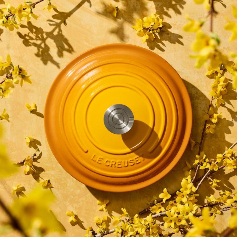 Le Creuset ® Signature 7.25-Qt. Nectar Enameled Cast Iron Round Dutch Oven - image 1 of 12