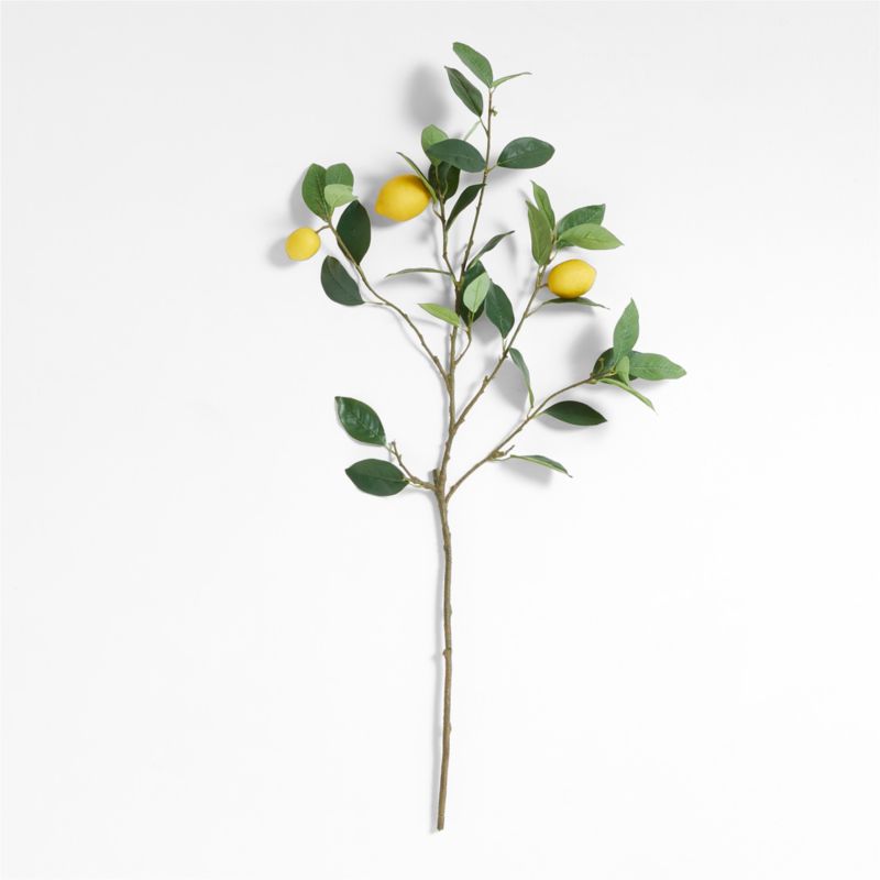 Faux Lemon Stem - image 0 of 5