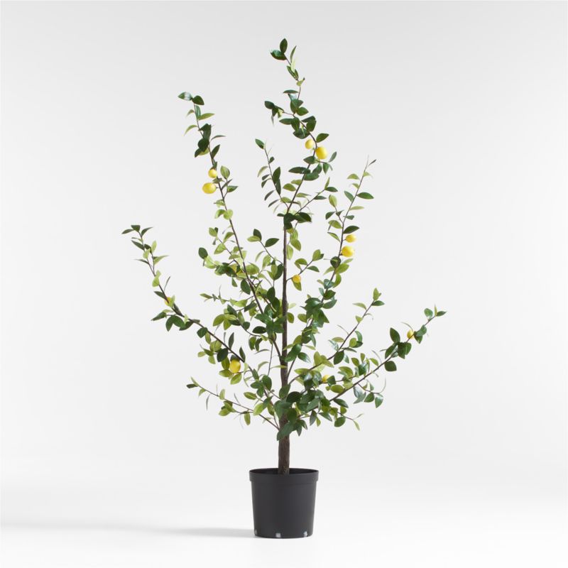 Potted Faux Lemon Tree 7.5'