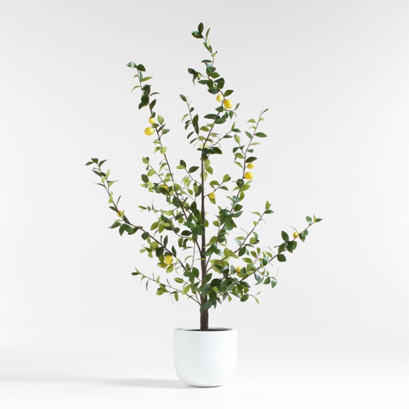 Potted Faux Lemon Tree 7.5'