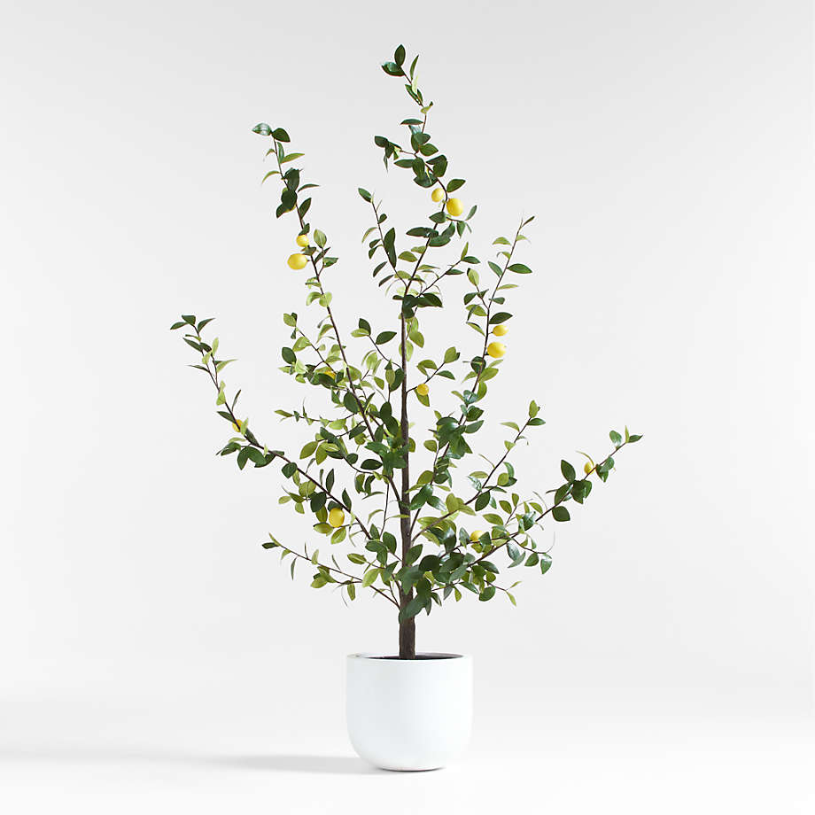 Potted Faux Lemon Tree 7.5' Crate & Barrel